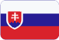 Ministerstvo informatiky České republiky Slovensky